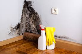 Best Mold Remediation for Healthcare Facilities  in Cumberland Hill, RI